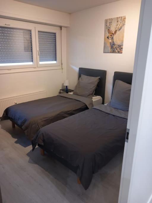 Super Appart Strasbourg 6 Pers Centre-Ville Ideal 外观 照片
